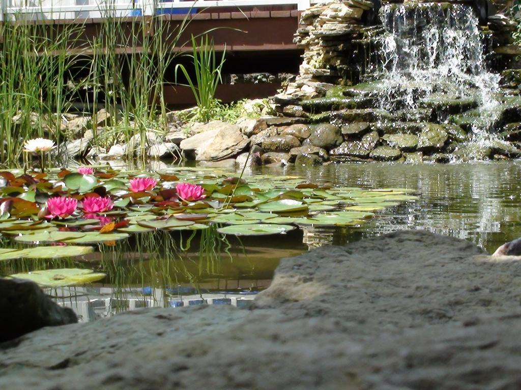 Lodge Trickling Waters Retreat