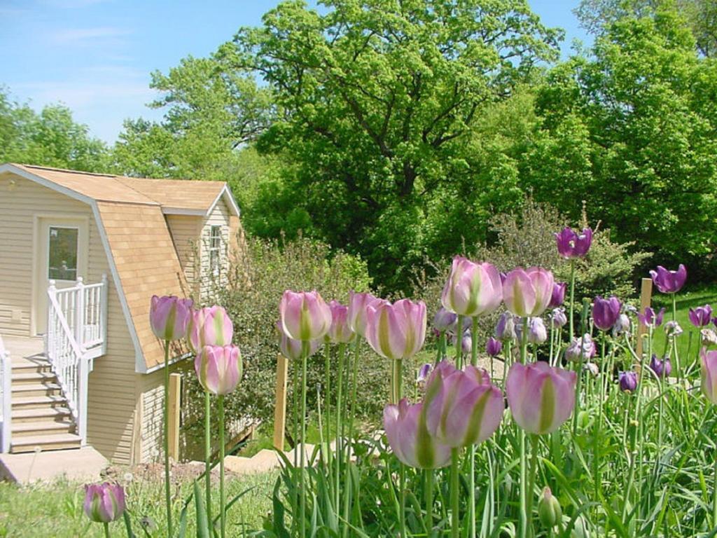 Trickling Waters Retreat